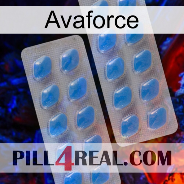 Avaforce 23
